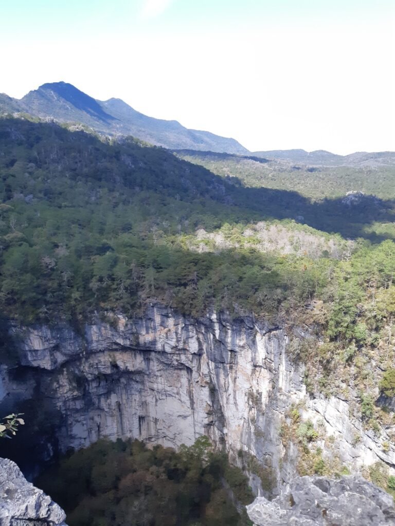 20250222 125944 Scaled 1 768x1024