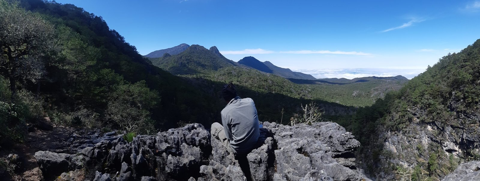 20250222 131317 1 Scaled 1