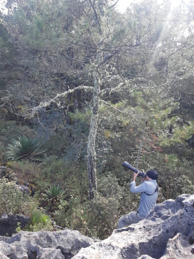 20250222 134115 Scaled 1 768x1024