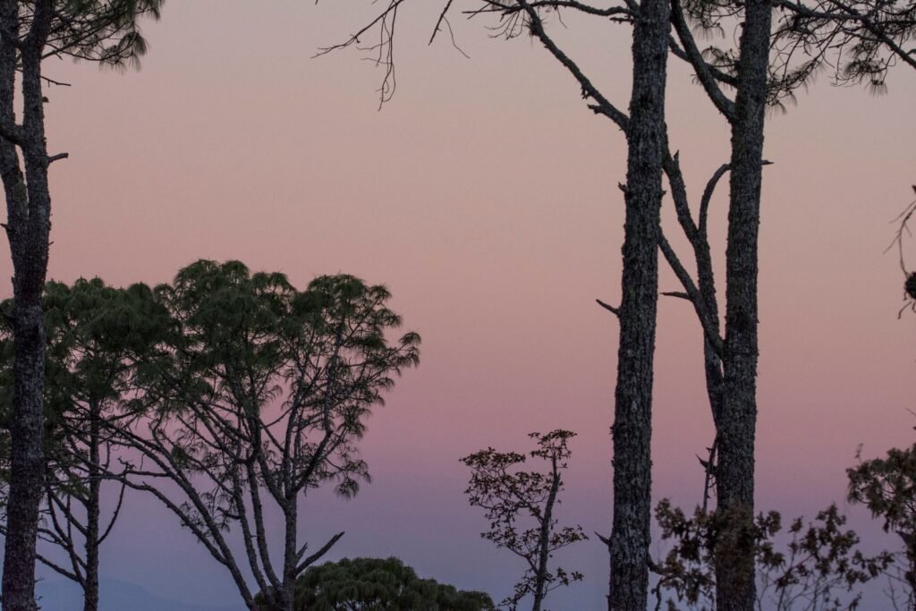 Atardecer Pinoshorizonte Scaled 1 1024x683