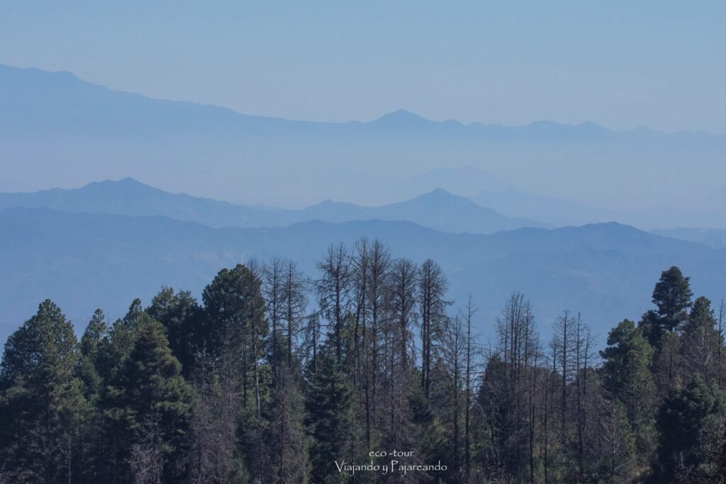 Paisaje Nevado De Colima Scaled 1 1024x683