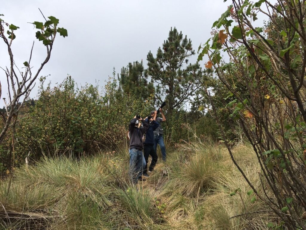 Gpo Obs Aves Nevado 1024x768