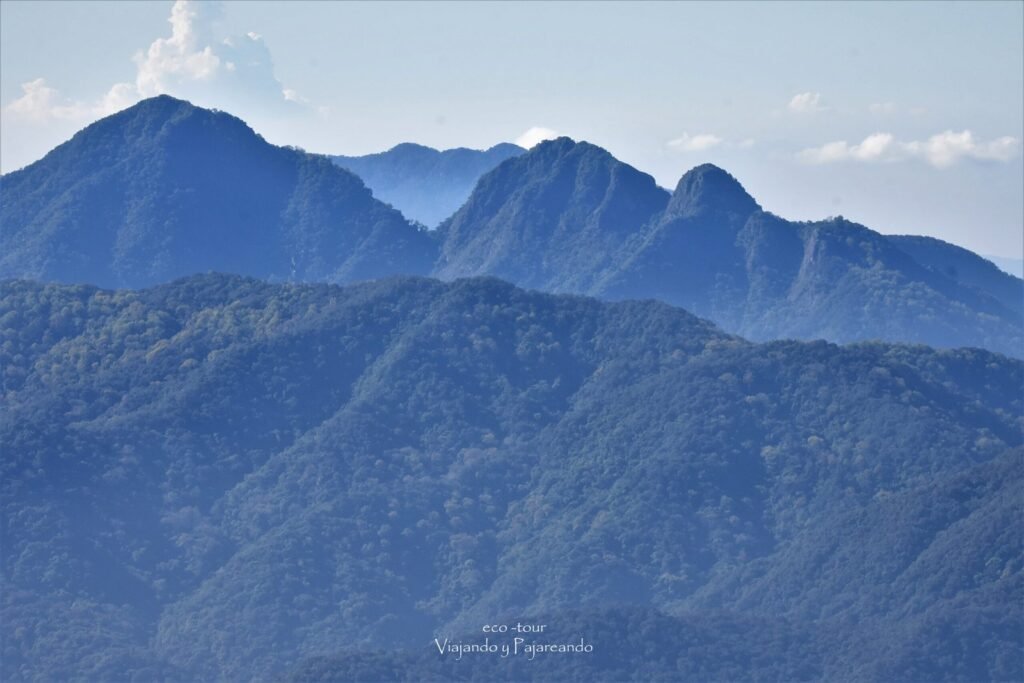 Paisaje Scaled 1 1024x683