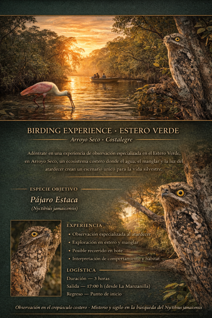 Flyer Estero Verde 683x1024